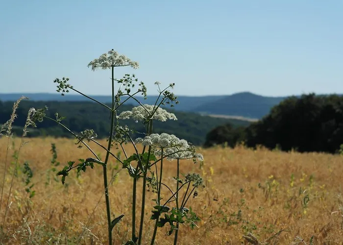Windlicht Krombach (Bavaria)