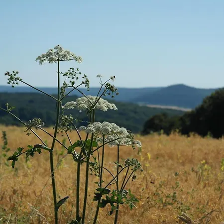 Windlicht Krombach (Bavaria)